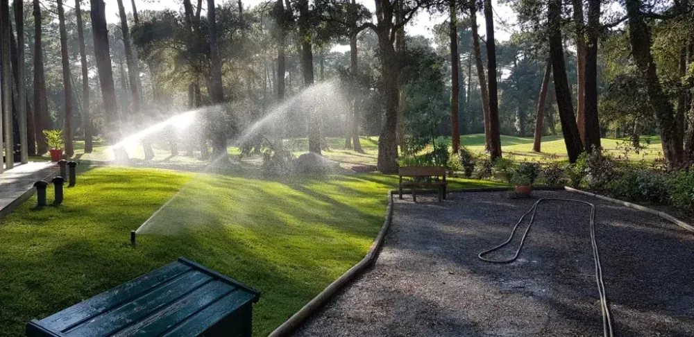 arrosage gazon jardin