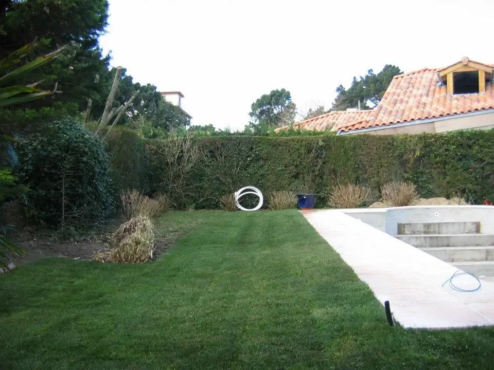 Gazon près de Hossegor